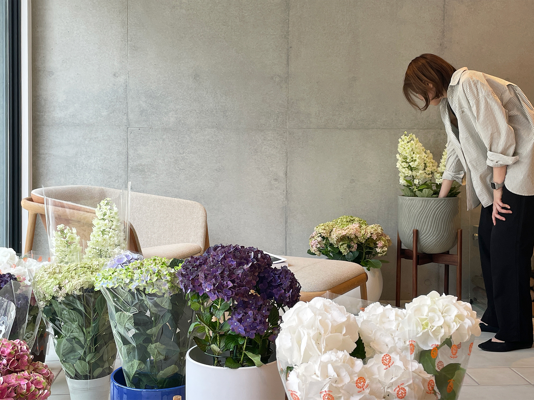 「梅雨の花を愉しむ」展示販売会を開催しました。